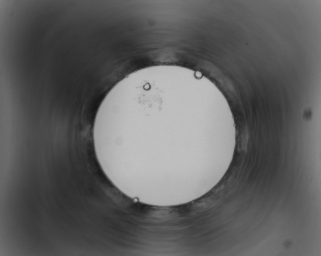 X0000103910521200809191122