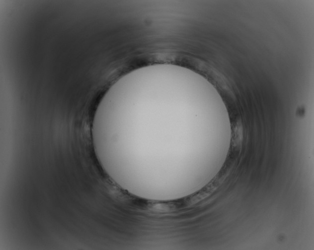 X0000103910522200809191122