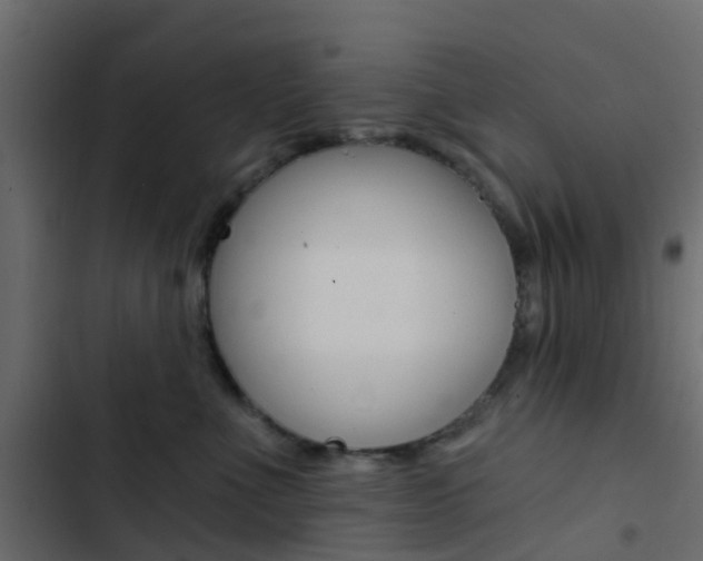 X0000103910523200809191122