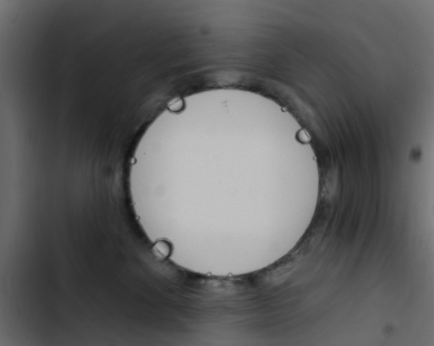 X0000103910524200809191122