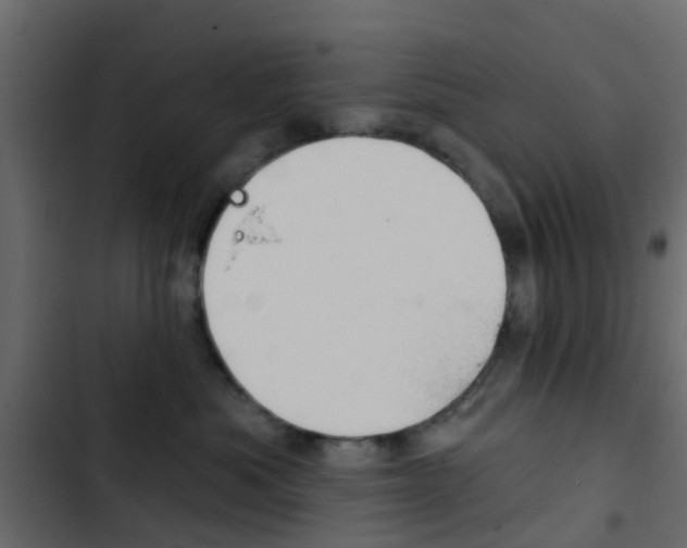 X0000103910525200809191122