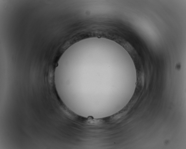X0000103910526200809191122