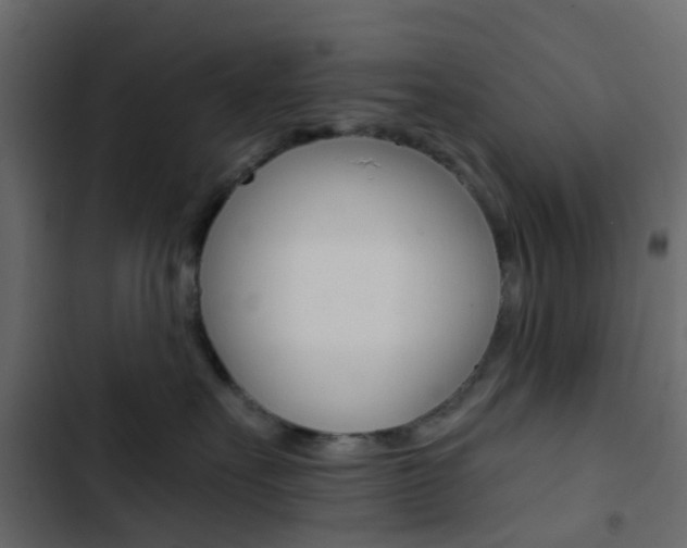 X0000103910527200809191122
