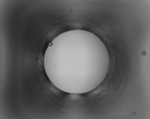 X0000103910528200809191122