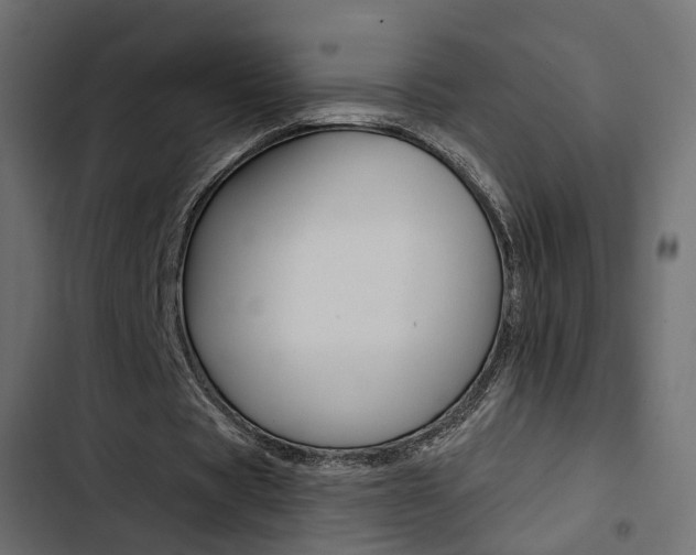 X0000103910529200809191121