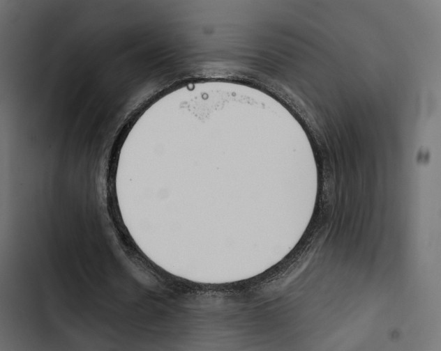 X0000103910530200809191121