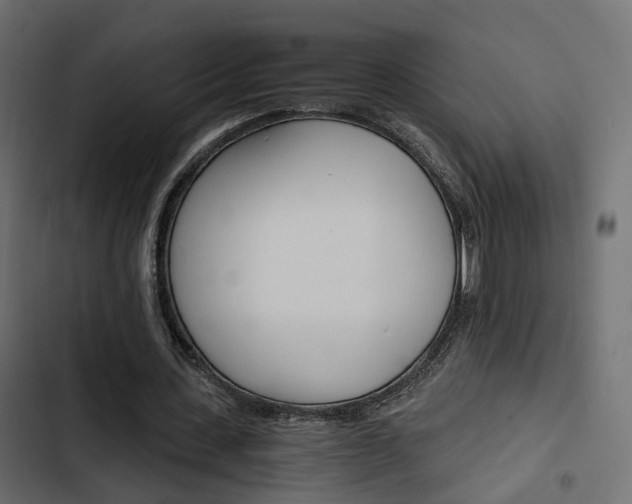 X0000103910531200809191121
