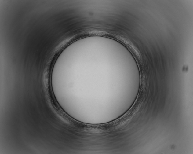 X0000103910533200809191121