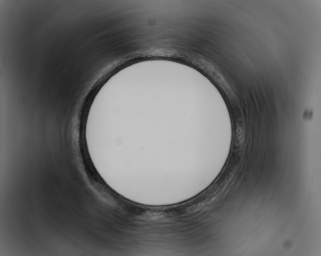 X0000103910534200809191121