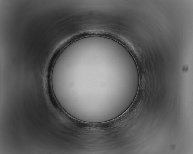 X0000103910535200809191121
