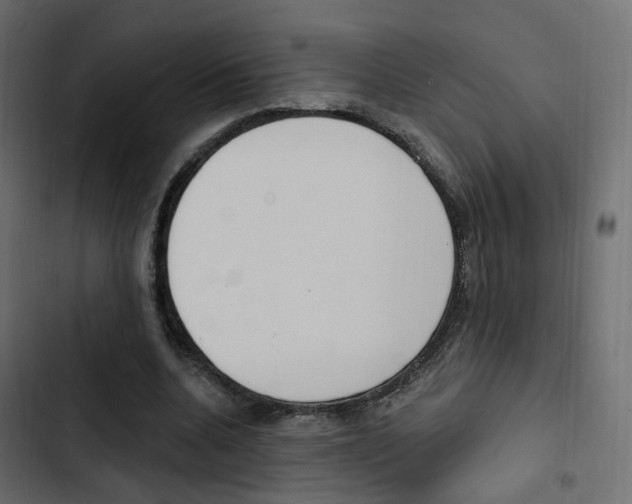 X0000103910536200809191121