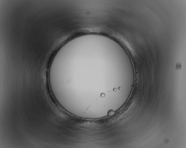 X0000103910537200809191121