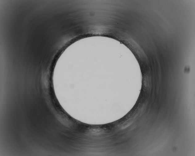 X0000103910540200809191121