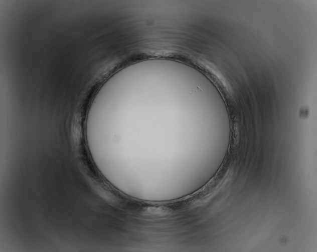 X0000103910541200809191121