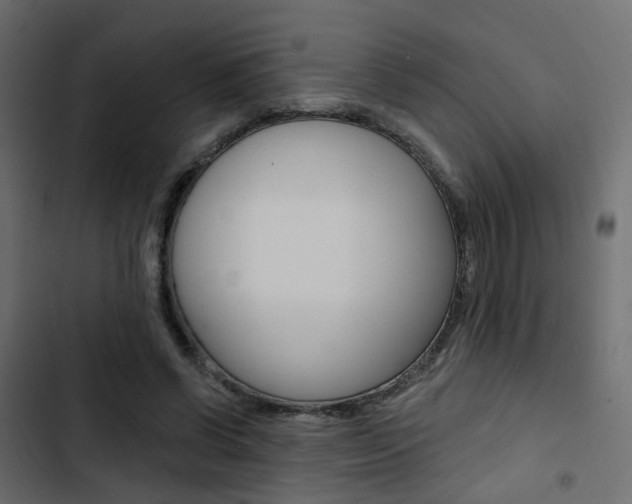 X0000103910542200809191121
