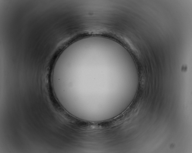 X0000103910543200809191121