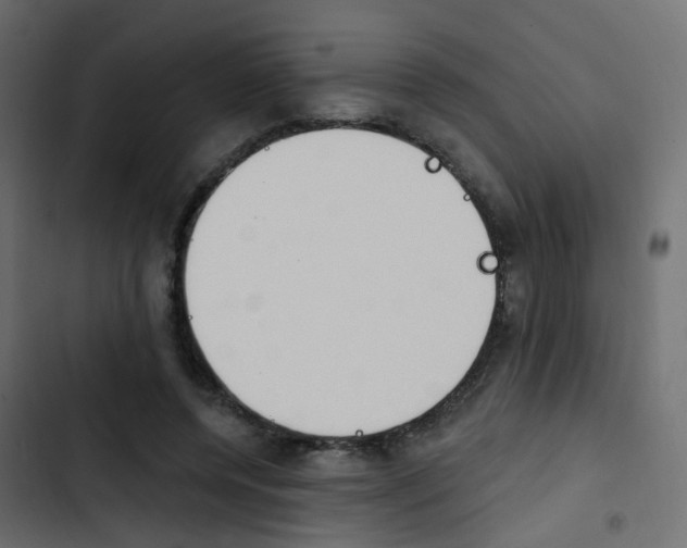 X0000103910544200809191122