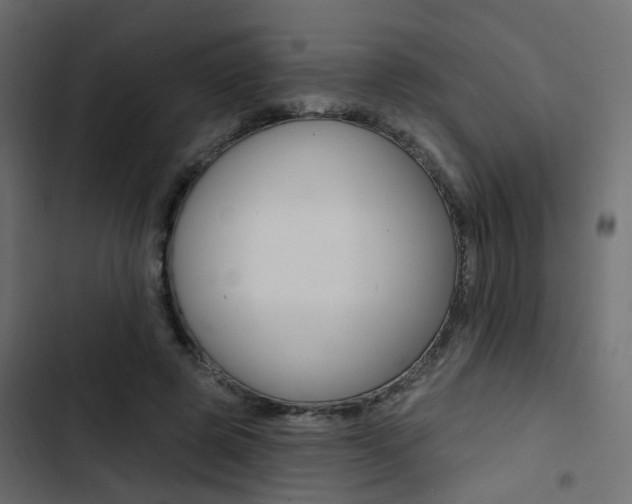 X0000103910545200809191122