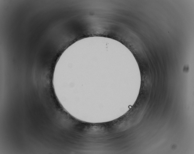 X0000103910546200809191122