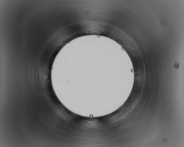 X0000103910548200809191122