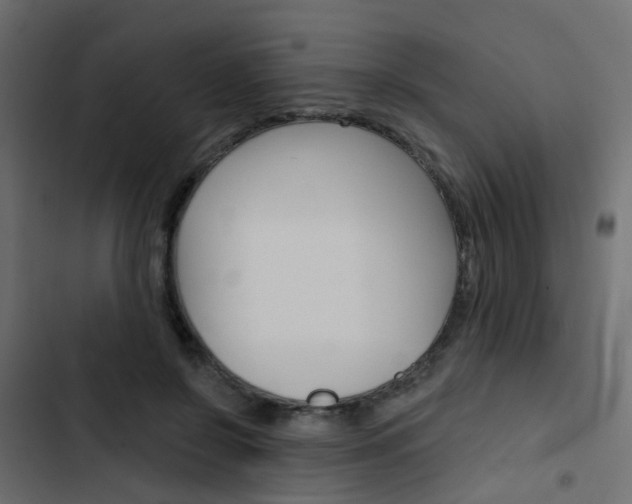 X0000103910550200809191122