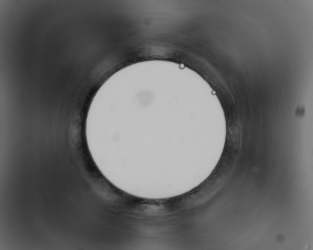 X0000103910552200809191122