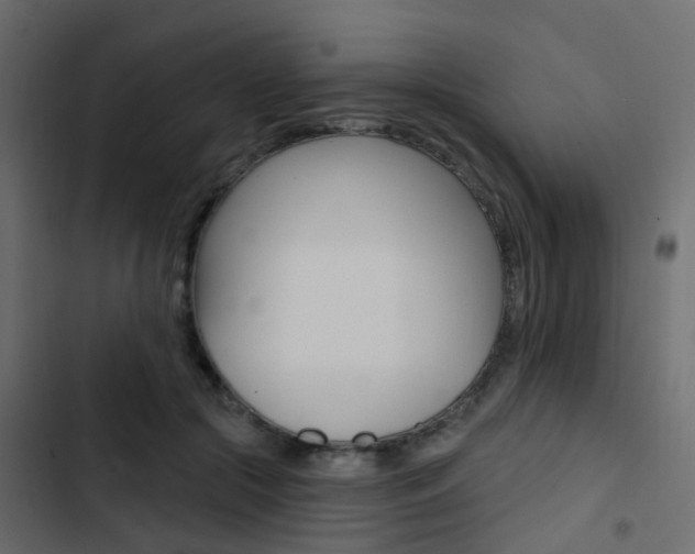 X0000103910553200809191122