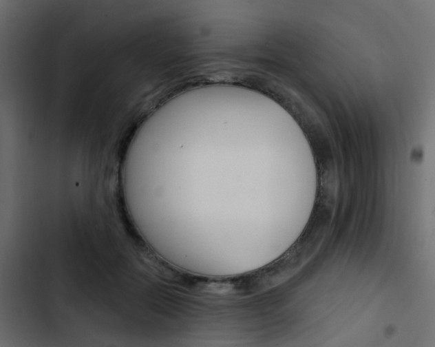 X0000103910554200809191122