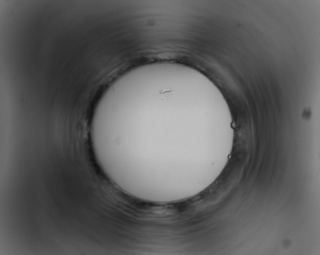 X0000103910555200809191122