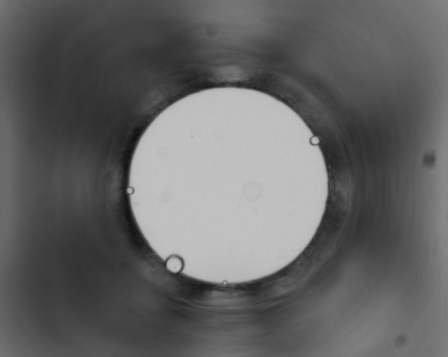X0000103910556200809191122