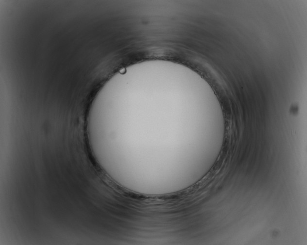 X0000103910557200809191122