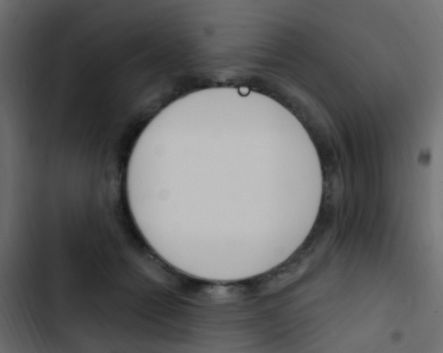 X0000103910558200809191122