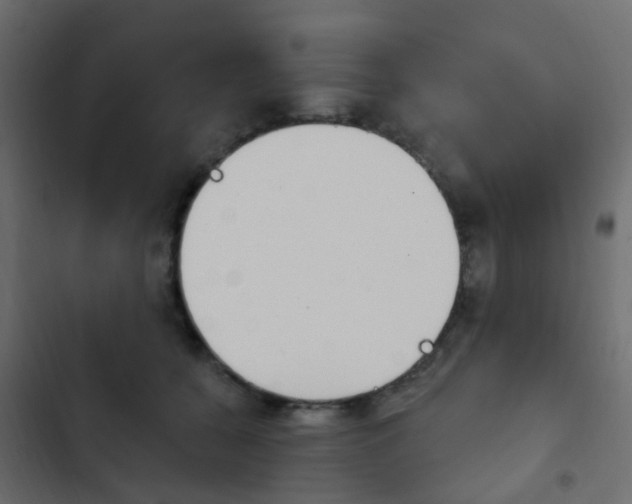 X0000103910560200809191122