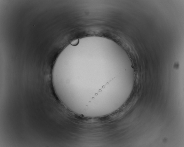 X0000103910561200809191122
