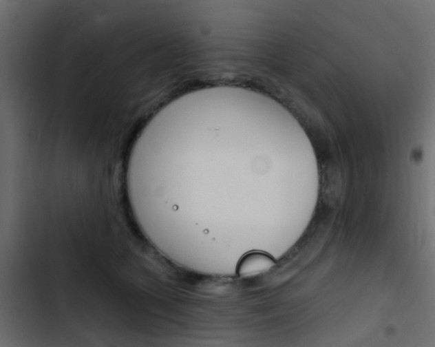 X0000103910563200809191122