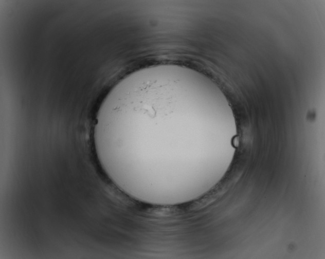 X0000103910567200809191122
