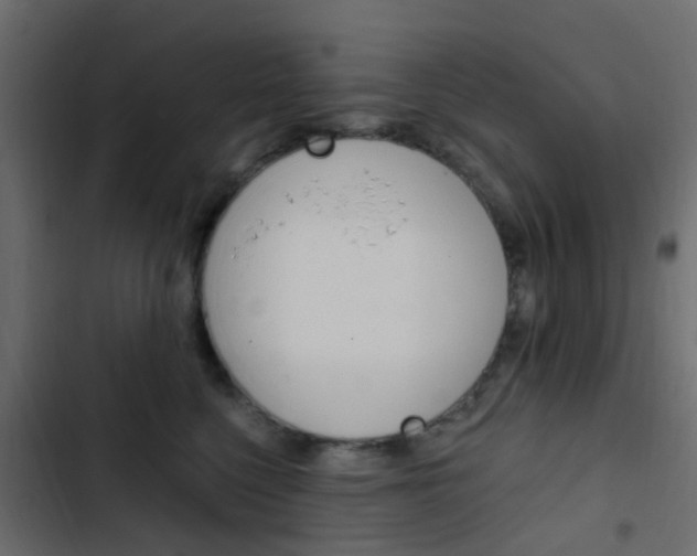 X0000103910568200809191122