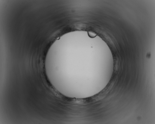 X0000103910569200809191122