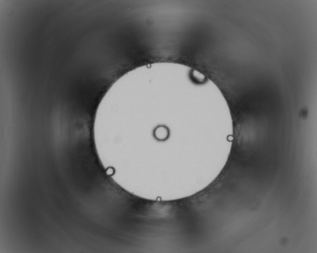 X0000103910570200809191122