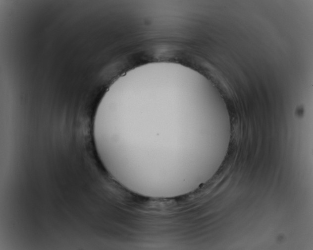 X0000103910571200809191122