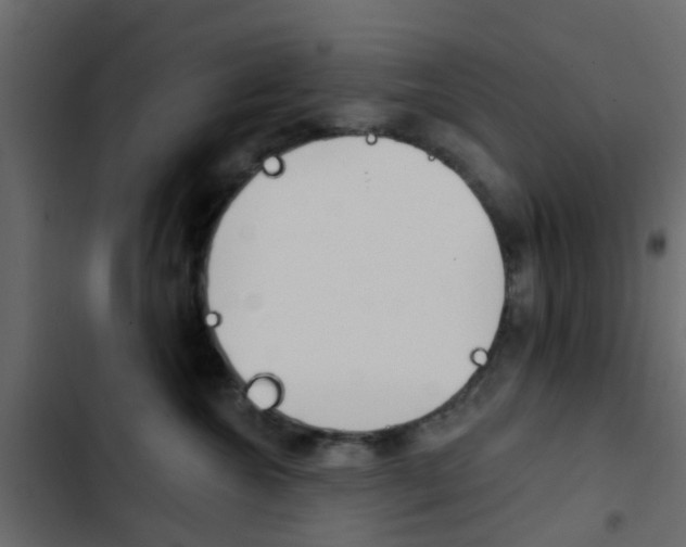 X0000103910572200809191122