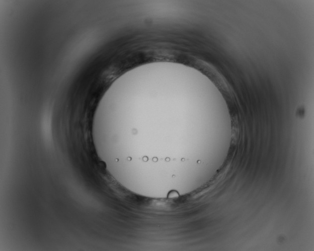 X0000103910573200809191122