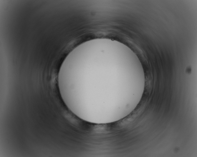 X0000103910574200809191122