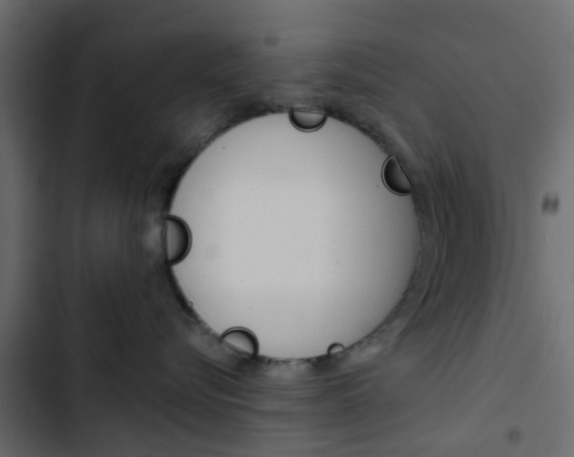 X0000103910576200809191122