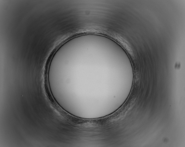 X0000103910578200809191121