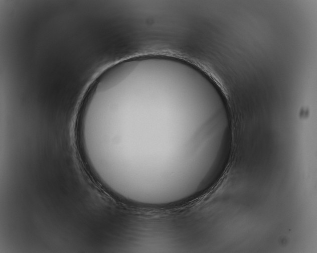 X0000103910579200809191121