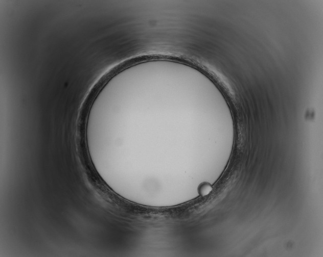 X0000103910580200809191121