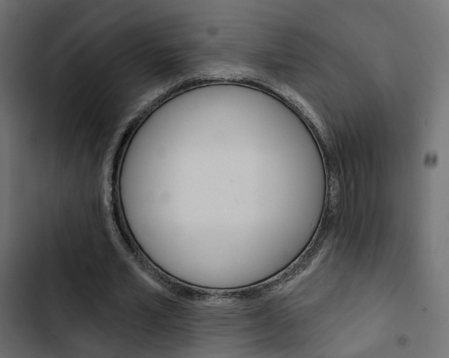 X0000103910581200809191121