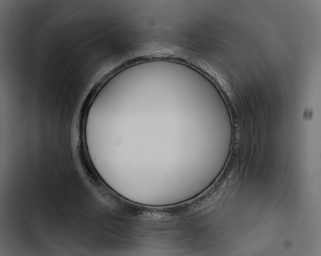 X0000103910582200809191121