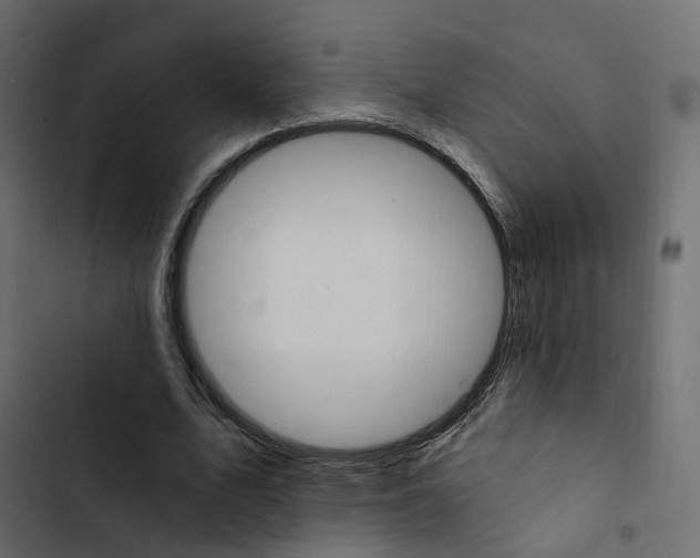 X0000103910583200809191121